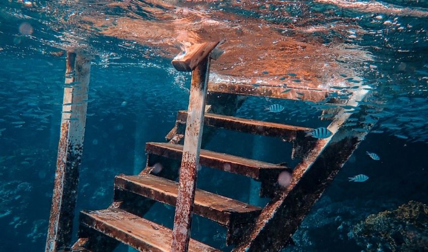 Nel fantasma inconscio l’oggetto causa del desiderio viene collocato nel campo del desiderio dell’Altro.